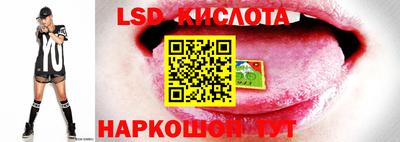 марки lsd Новодвинск