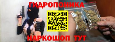 jwh Новозыбков