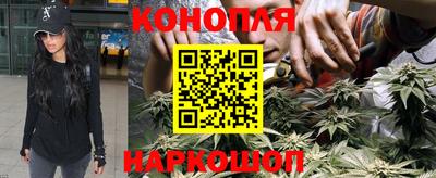 альфа пвп Новокубанск