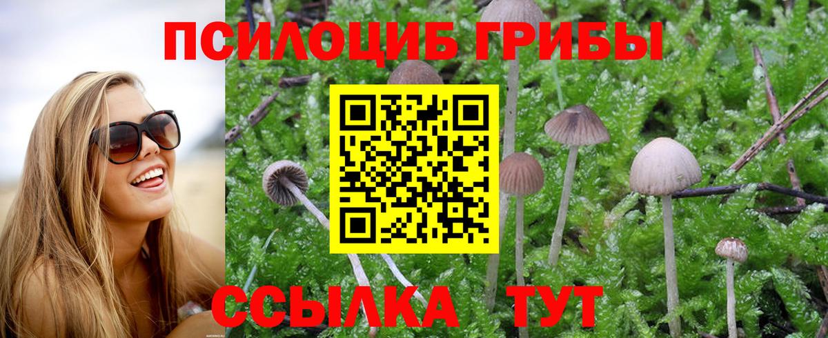 Псилоцибиновые грибы ЛСД  Вход с VPN  Псилоцибиновые грибы Psilocybine cubensis  Сосновоборск 