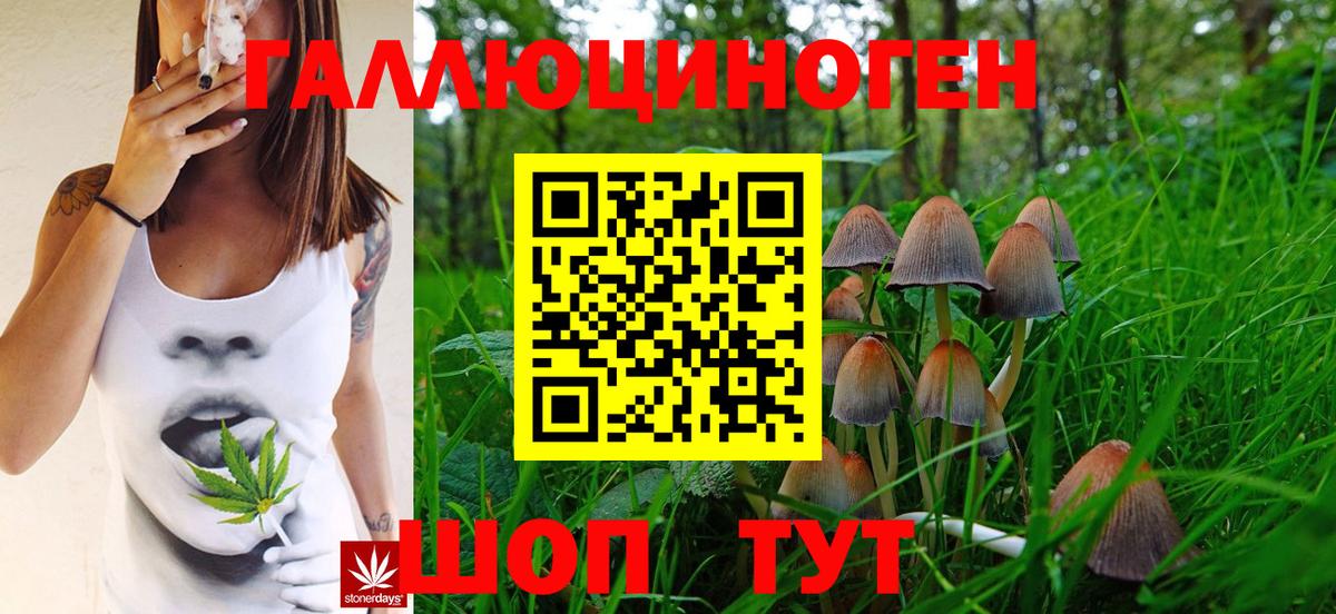 Псилоцибиновые грибы Psilocybine cubensis Сосновоборск